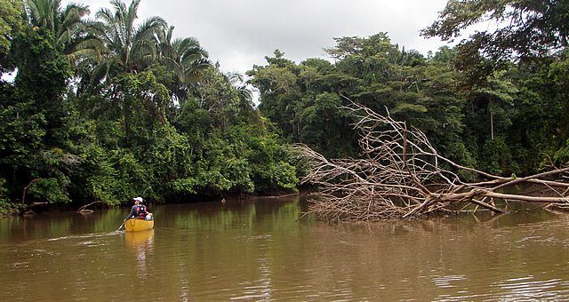 costa rica birding trips Caño Negro National Wildlife Refuge