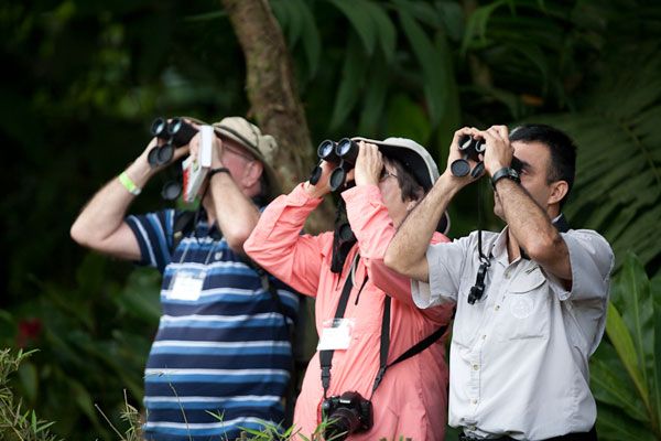 Birdwatching Costa Rica