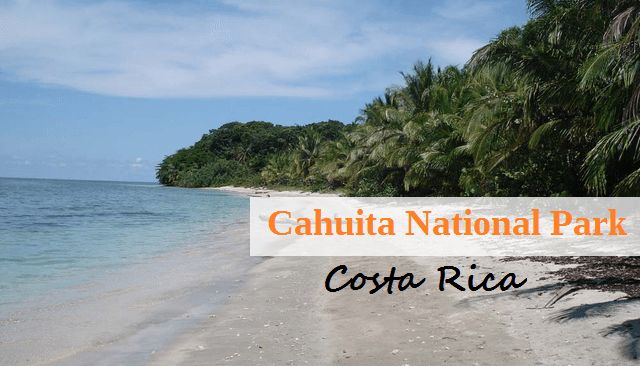 Cahuita National Park In Costa Rica