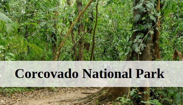 Corcovado National Park In Costa Rica