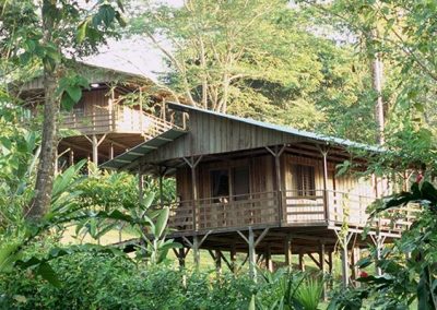 Selva Bananito Eco Lodge Cabins