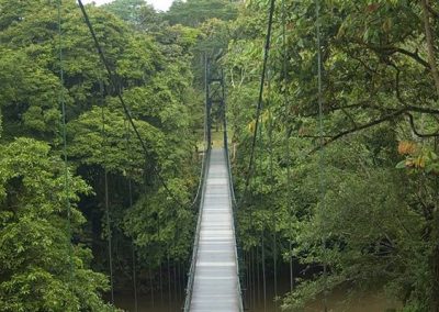 Selva Biological Station Bridge