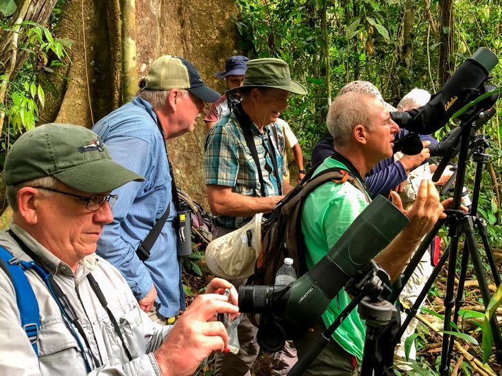 birding private guide costa rica