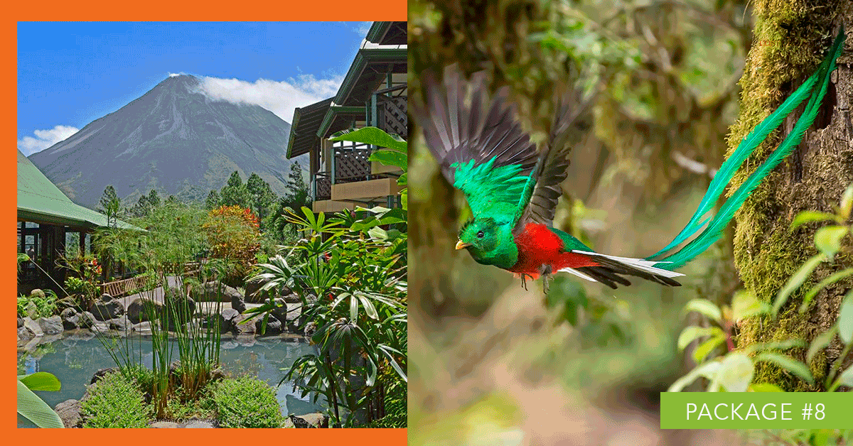 2 Weeks Costa Rica Bird Watching Tour 14day Tour Costa Rica Focus