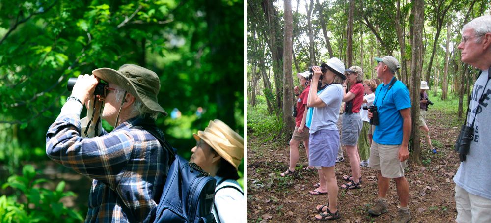 bird photo tours costa rica