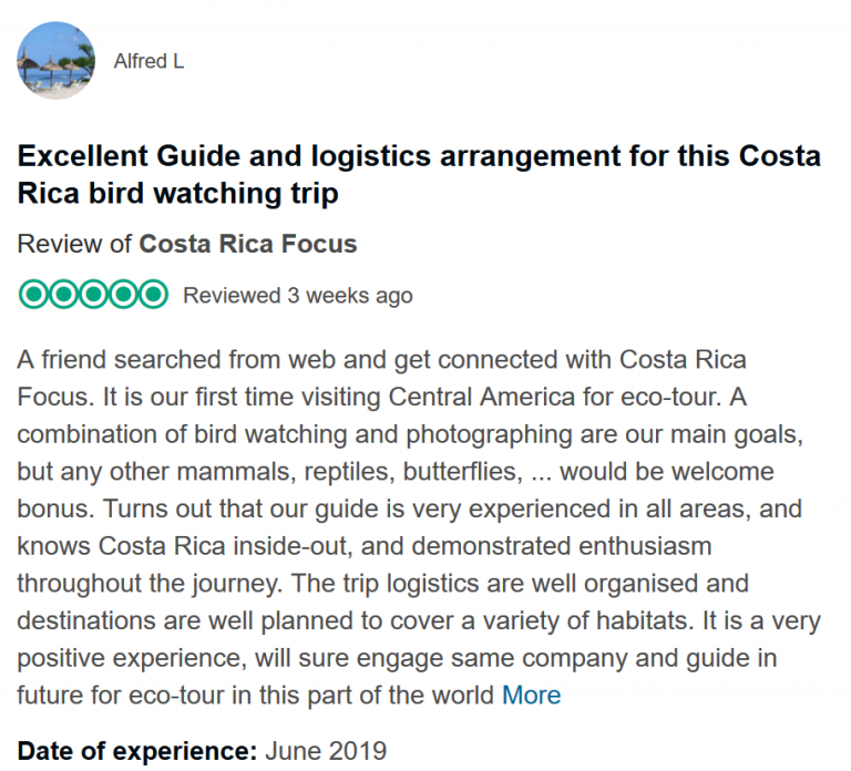 2 Weeks Costa Rica Bird Watching Tour 14day Tour Costa Rica Focus