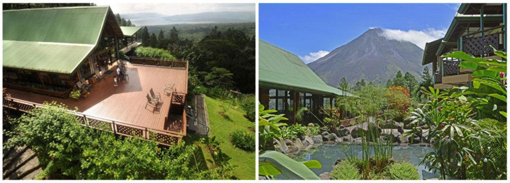 Arenal Observatory Lodge, Birding on a Budget Tour, Day 4 