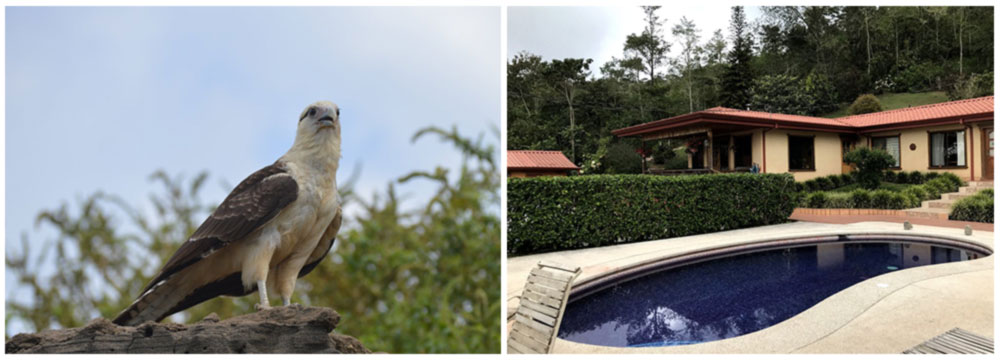 Talamanca Mountains, Birding on a Budget in Costa Rica, Day 8