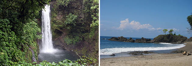 Birding Osa Peninsula Costa Rica