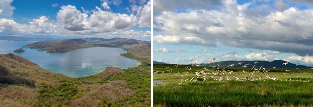 Birdwatching Guanacaste, Costa Rica