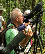 Bird Watching Guanacaste, Costa Rica