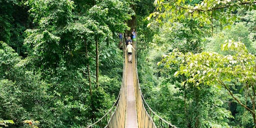 Bird Watching Rainmaker Park in Manuel Antonio, Costa Rica