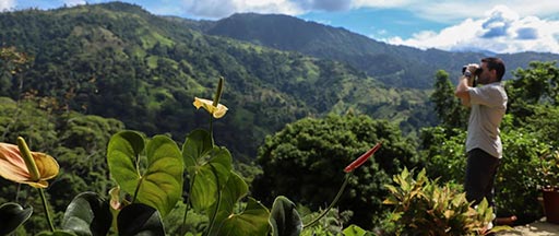 Birding Santa Juana Reserve in Manuel Antonio Costa Rica