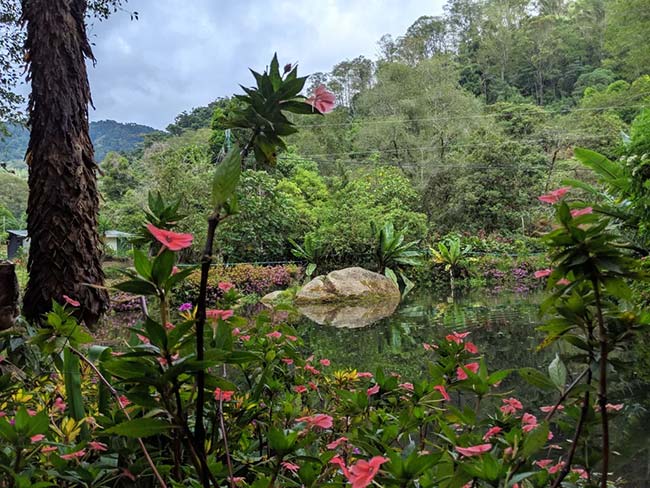 Batsu Gardens, San Gerardo de Dota