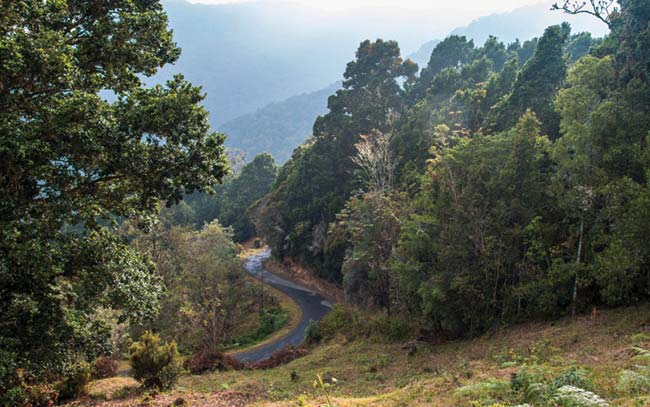 San Gerardo de Dota, Costa Rica