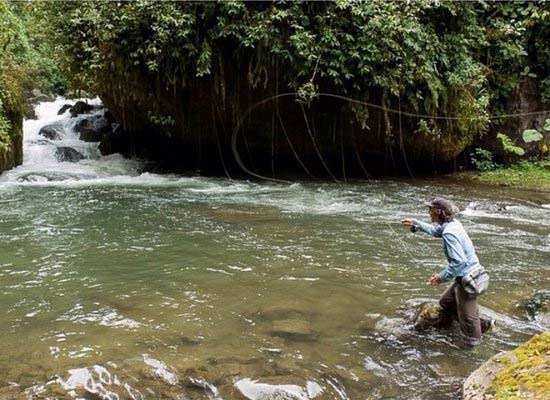 Trout Fishing San Gerardo de Dota