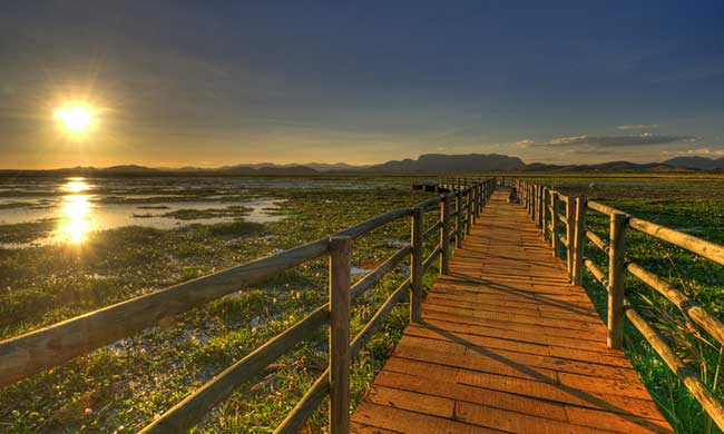 Birding Palo Verde Costa Rica