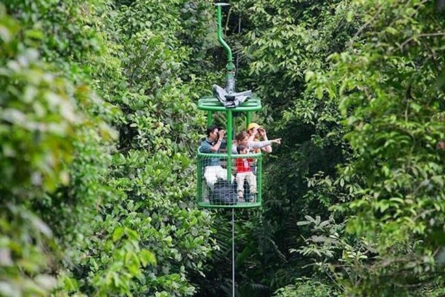 Birding Braulio Carrillo Costa Rica