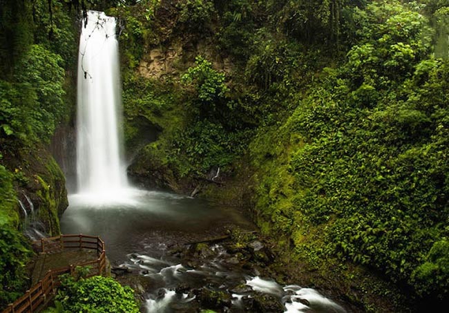 Birding La Paz Waterfall Gardens