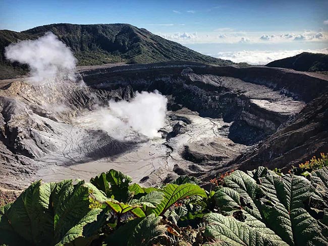 Birding Poas Volcano