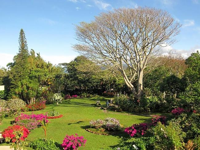 Birdwatching Hotel Bouganvillea