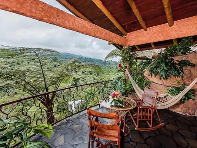 Bird Watching Peace Lodge Costa Rica