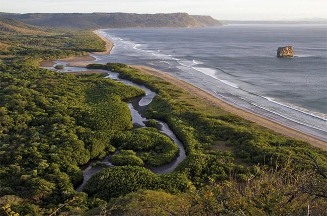 Birding Central Pacific Costa Rica