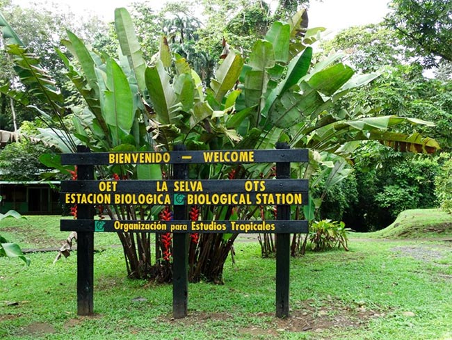 La Selva Biological Station Costa Rica