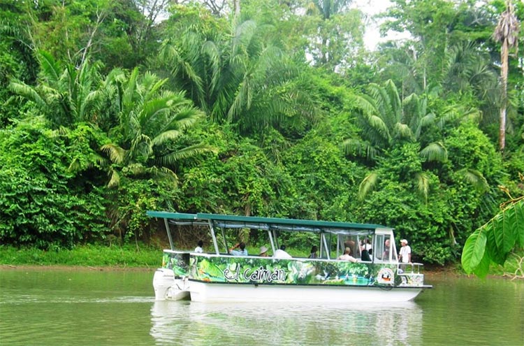 Birdwatching at Cano Negro