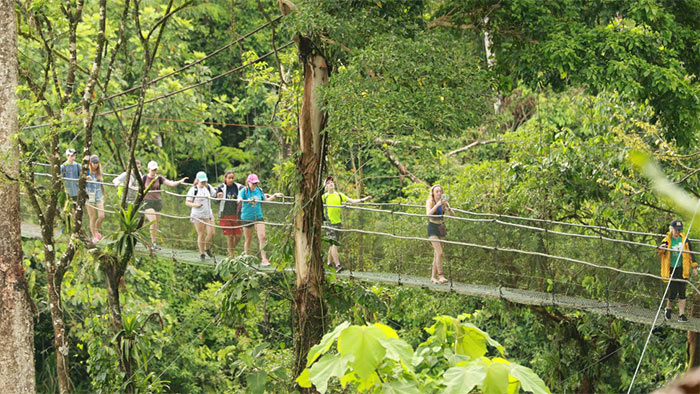 Birding Tirimbina Lodge in Sarapiqui Costa Rica