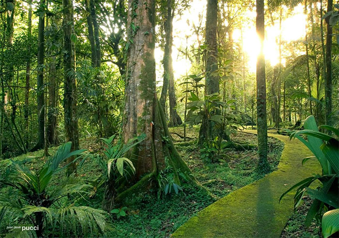 La Selva Biological Station Sarapiqui