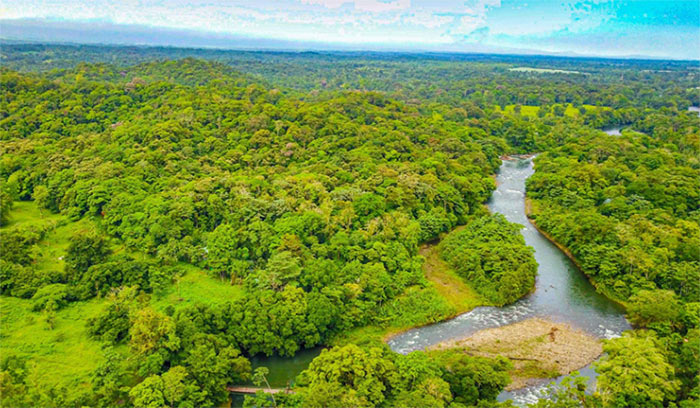 Sarapiqui River