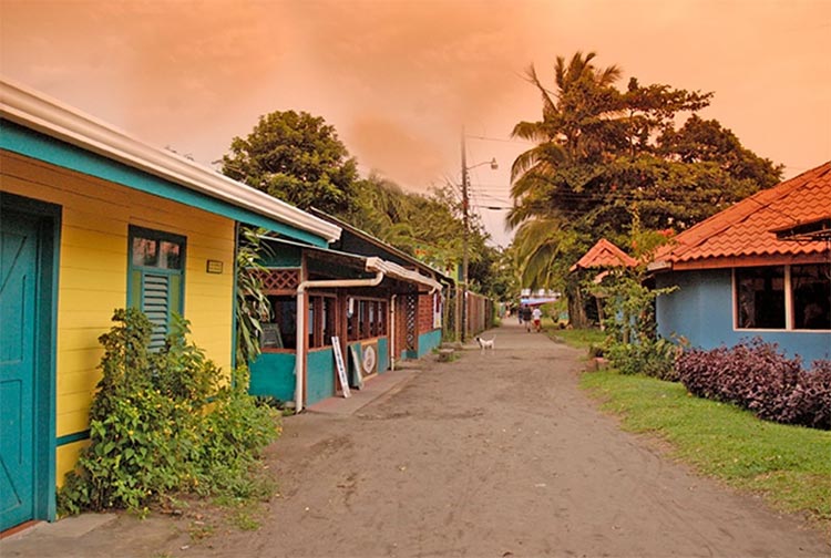 Birdwatching Tortuguero