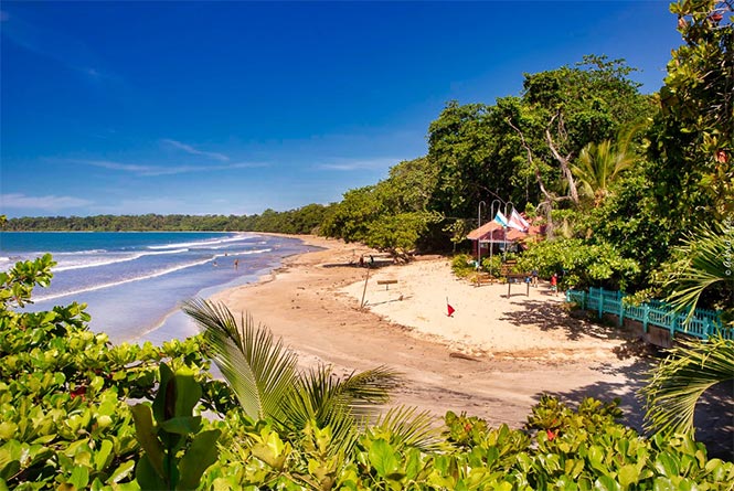 Birding Costa Rica's Caribbean Lowlands