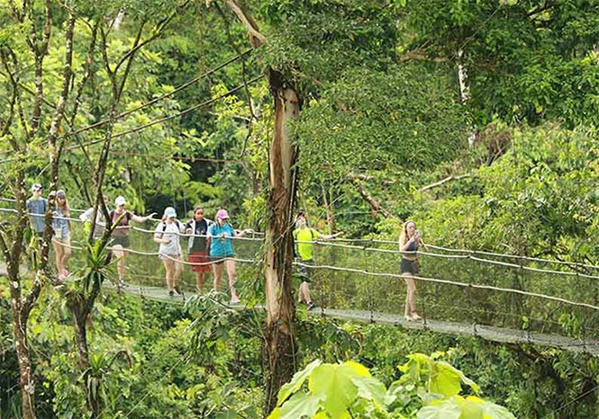 Tirimbina Lodge - Birding Hotel in the Caribbean Lowlands