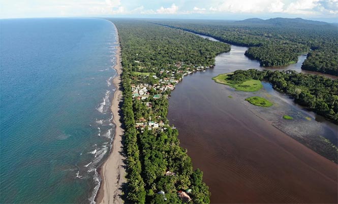 Birdwatching Tortuguero in The Caribbean Lowlands of Costa Rica