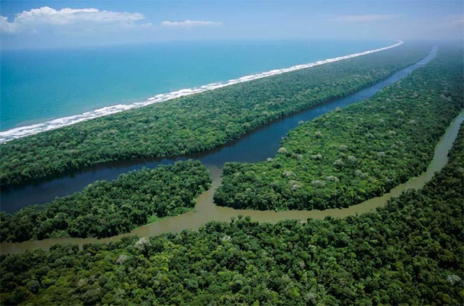 Tortuguero National Park