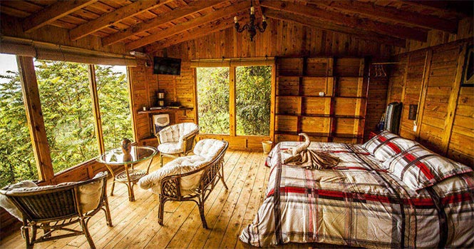 Quetzal Paradise Lodge