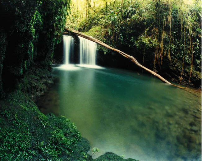 Birding Braulio Carrillo National Park