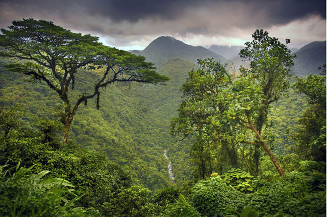 Braulio Carrillo National Park