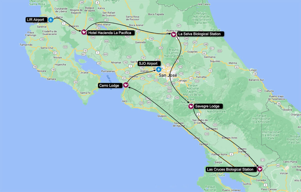 Costa Rica Biological Stations Advanced Birding TourCosta Rica Focus