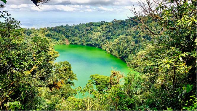 Birding Cerro Chato