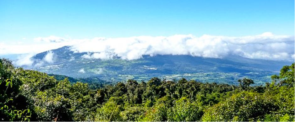 Birding Heredia Costa Rica