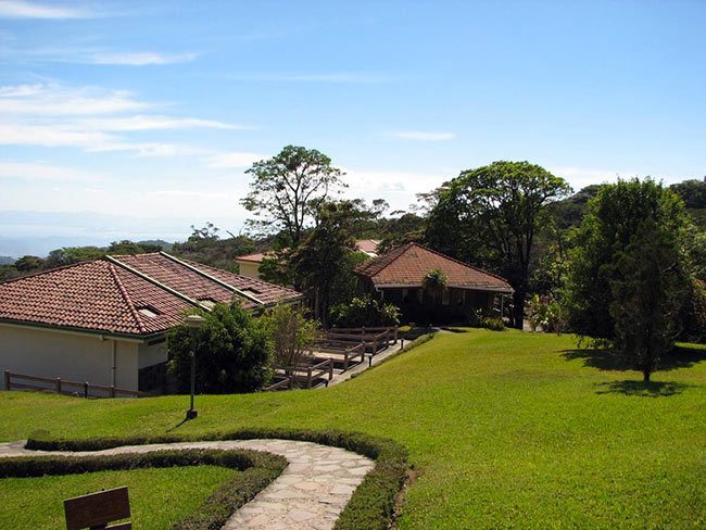 Birding Montana De Monteverde Lodge