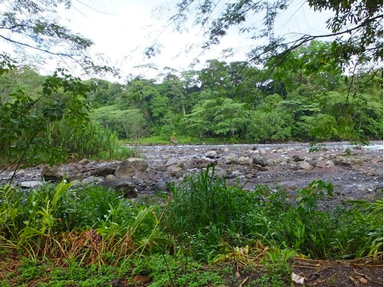 Birding la Virgen del Socorro