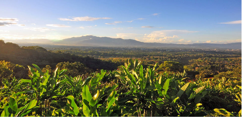 Birding San Jose Province, Costa Rica