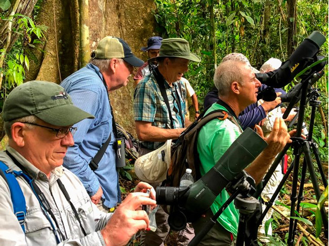 Birding Guides in Papagayo Peninsula Costa Rica