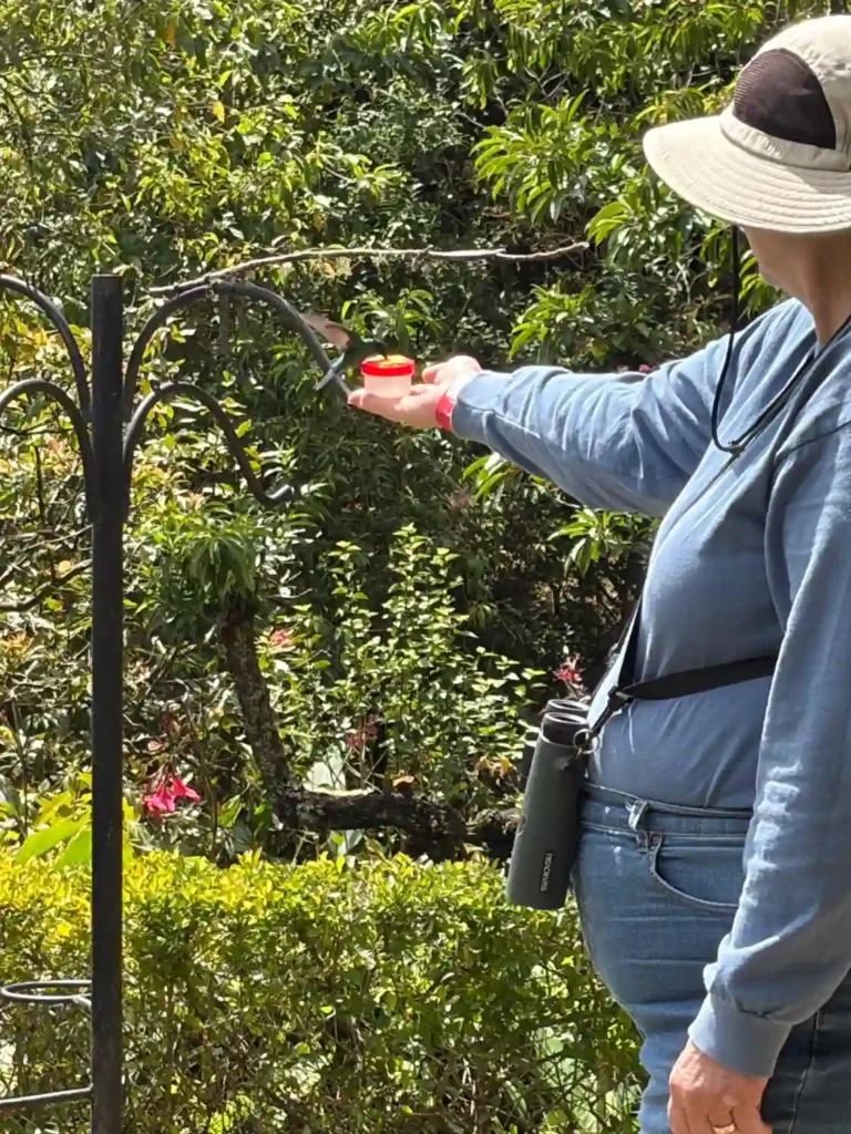 Birding Station to Station Trip Report, Nov 2025 5 Station to station tour trip report6