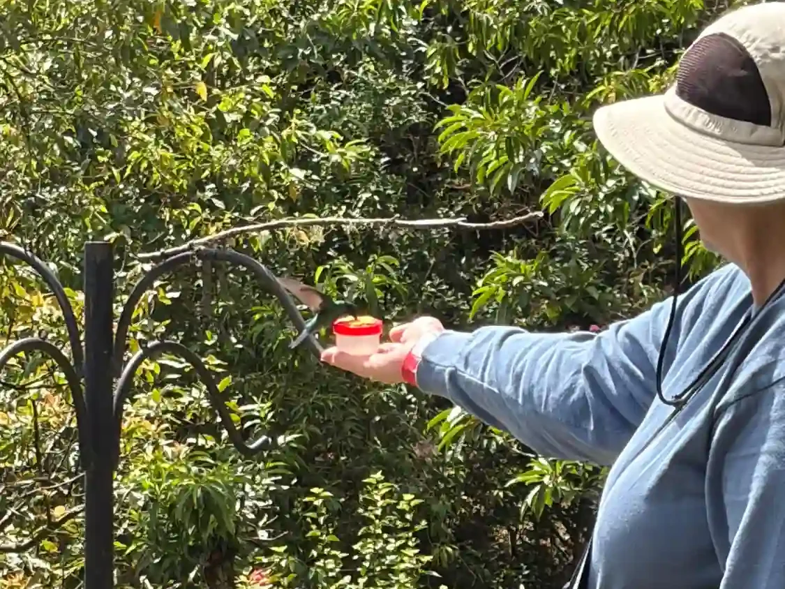 Birding Station to Station Trip Report, Nov 2025 7 Station to station tour trip report6 edited