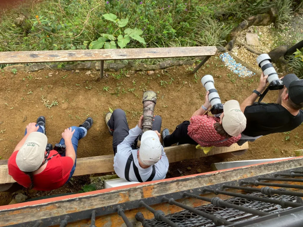 Birding Station to Station Trip Report, Nov 2025 13 bird photographers feeder